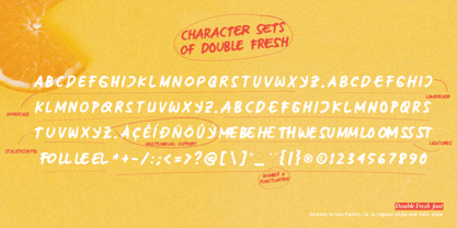 Double Fresh Font Poster 10