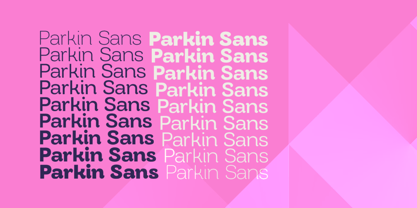 Parkin Font Poster 2