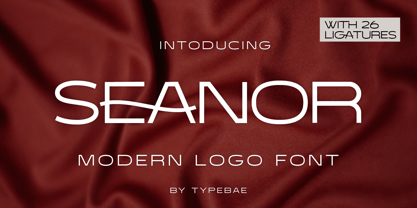 Seanor Font Poster 1