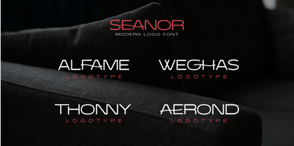 Seanor Font Poster 5