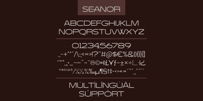 Seanor Font Poster 8