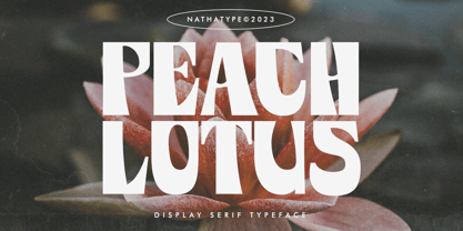 Peach Lotus Font Poster 1