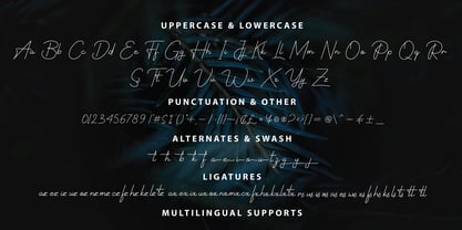 Rastery Signature Font Poster 10