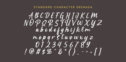 Srenada Font Poster 4