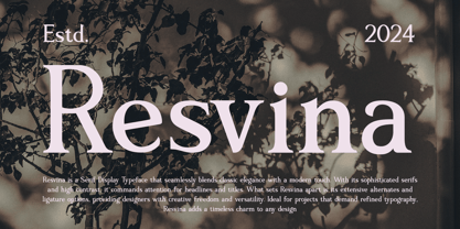 Resvina Font Poster 2