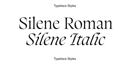 Silene Font Poster 2