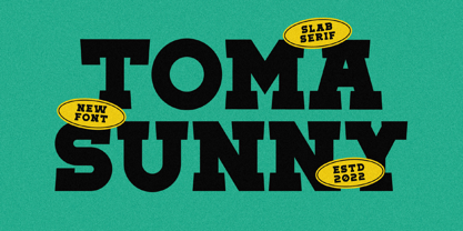 Toma Sunny Font Poster 1