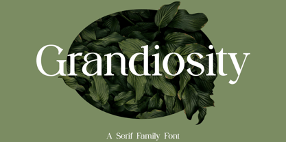 Grandiosity Font Poster 1