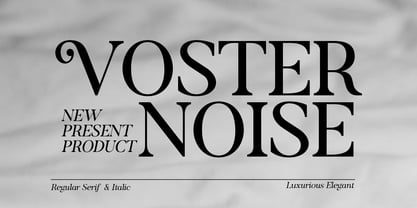 Voster Noise Font Poster 1