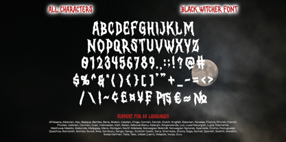 Black Witcher Fuente Póster 8