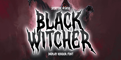 Black Witcher Fuente Póster 1