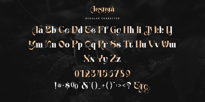 Aestera Font Poster 11
