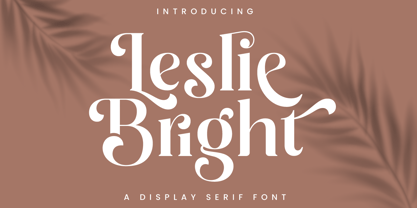 Leslie Bright Font | Webfont & Desktop | MyFonts