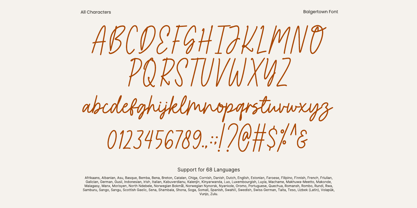 Balgertown Font Poster 9