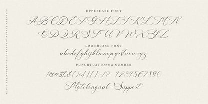 America Calligraphy Font Poster 8