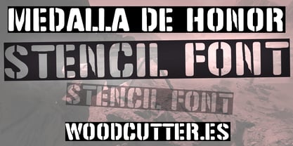 Medalla de Honor Font Poster 1