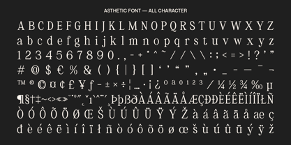 Asthetic Font Poster 6