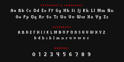 Thiqall Font Poster 9