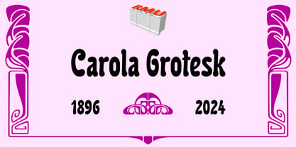 Carola Grotesk Police Poster 1