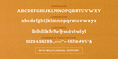 Pure Orange Font Poster 6