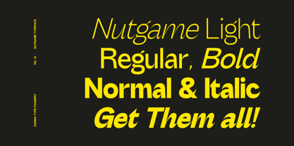 Nutgame Sans Font Police Poster 2
