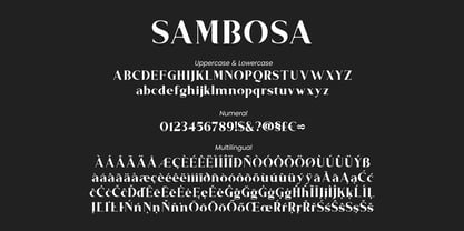 Sambosa Font Poster 10
