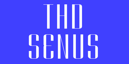 THD Senus Font Poster 1