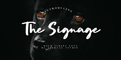 The Signage Font Poster 1