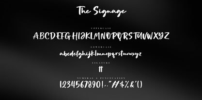 The Signage Font Poster 9