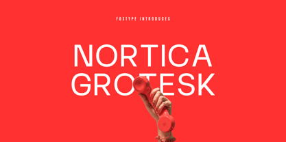 Nortica Typeface Font Poster 1