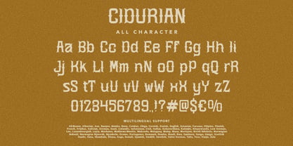 Cidurian Font Poster 8