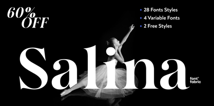Salina Font Poster 1
