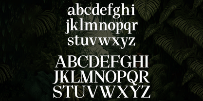 Avalar Regular Font Poster 5