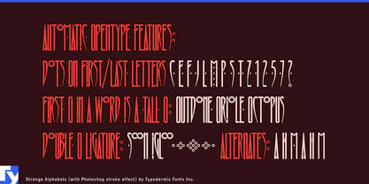 Strange Alphabets Font Poster 5