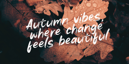 Autumn Brush Font Poster 5