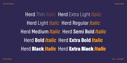 Herd Font Poster 3