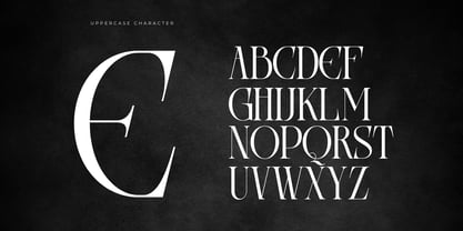 Areogas Vintage Font Poster 7