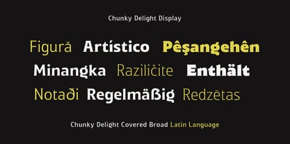 Chunky Delight Font Poster 2