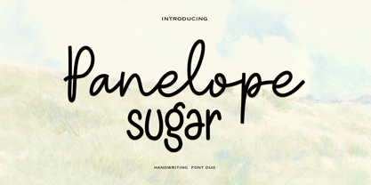 Panelope sugar Font Poster 1