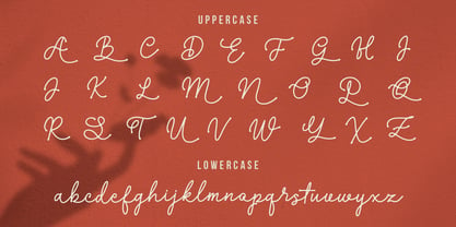 Layshy Font Poster 11