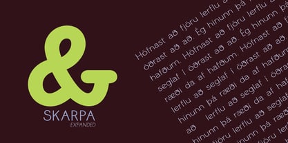 Skarpa Expanded Font Poster 6