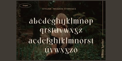 Wilkysta Font Poster 12