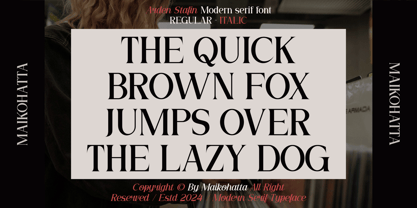 Arden Stafin Font Poster 8