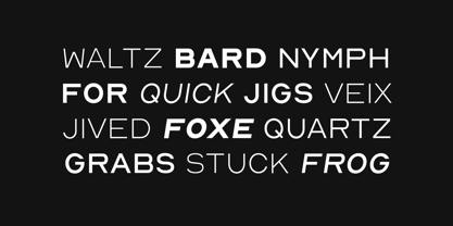 Nord Display Font | Webfont & Desktop | MyFonts