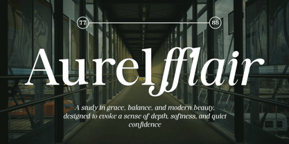 Soffline Font Poster 11