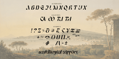 Amoren Font Poster 14