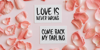 Lovesome Font Poster 5
