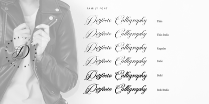 Perfecto Calligraphy Font Poster 14