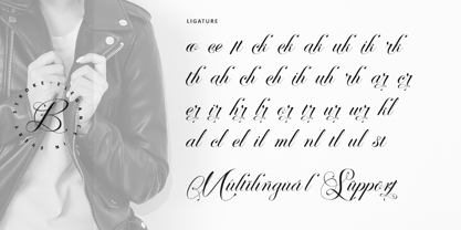 Perfecto Calligraphy Font Poster 11