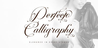 Perfecto Calligraphy Font Poster 1